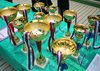 Пятый Чемпионат Ленинградской области по мини-гольфу!